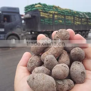 Big Sale LECA Aggregate From China, Lightweight Expanded Clay Aggregate Concrete Expanded Clay thumbnail-4