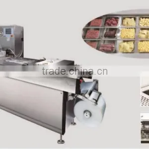 Shanghai High Quality Vacuum Packing Sealing Machine thumbnail-1