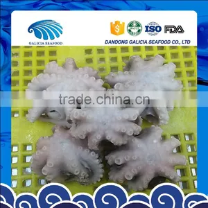 Frozen Baby Octopus in Ball Shape thumbnail-1