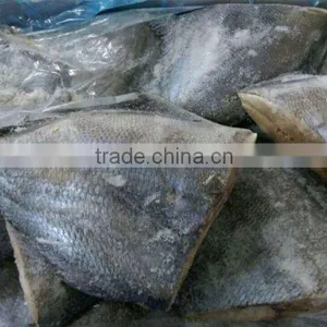 Frozen Seafood BLACK POMFRET OR BRAMA FILLET Frozen Fish thumbnail-2