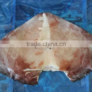 Natural Good Quality and Best Price Frozen Giant Peru Squid Wing thumbnail-2