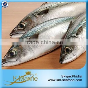 China Supplier Wholesale Frozen Mackerel Lot Number#kmw4050 thumbnail-1