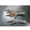 Chicken Feet Grade A thumbnail-1