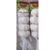 Red Garlic thumbnail-1