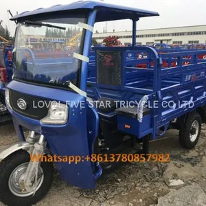 Gasoline Tricycle Cargo Loader Lovol Three Wheeler Mali Ethiopia Ghana Bukina Faso Tanzania Kenya Senegal Togo Benin Nigeira Mauritania Angola Burundi Chad Cameroon C ô te D'Ivoire Gabon Guinea Mozambique Rwanda Congo Uganda Zimbabwe thumbnail-1