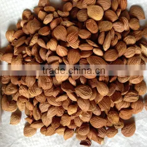 Apricot Kernel thumbnail-1