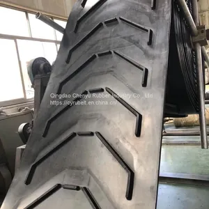 Chevrons Conveyor Belt thumbnail-2