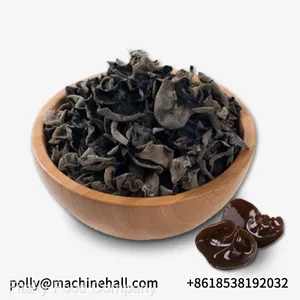 Premium Dried Black Fungus Supplier From China thumbnail-1