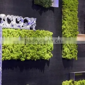 Home Decor Hot Selling Products for 2015 Artificial Plastic Green Moss Wall on Sale thumbnail-5