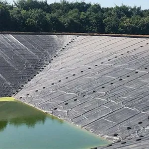 Geomembrane 0.50mm 0.75mm 1.0mm 1.5mm 2.0mm Fish Farm Pond Liner Dam Liner HDPE Geomembrane thumbnail-2