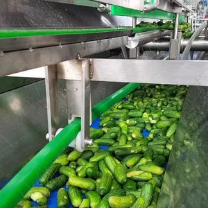 Professional Full Automatic Canned Pickles Vegetables Cucumber Production Line thumbnail-6