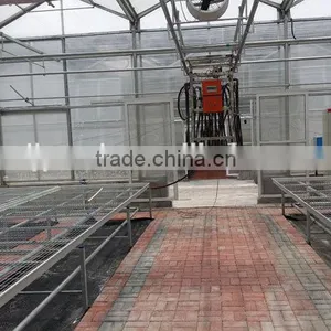 4mm Polycarbonate Greenhouse Anti- High Wind and Snow thumbnail-2