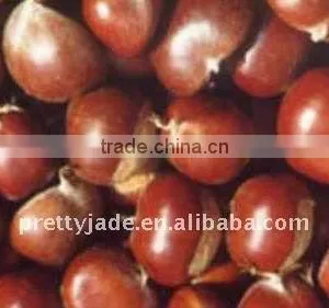 Chinese Fresh Chestnut thumbnail-1