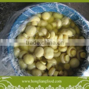High Quality Brined Champignon in Drum thumbnail-1