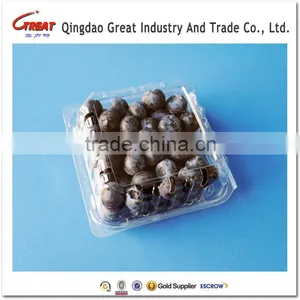 Fruit Packaging Container Food Storage Box Blueberry Packaging Punnet thumbnail-3