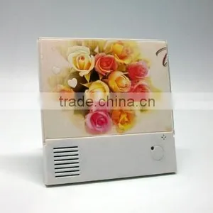 Voice Recordable Frame thumbnail-1