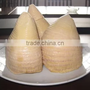 Tinned Bamboo Shoots in Whole Size 2950gram thumbnail-4