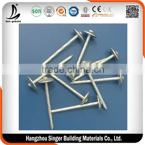 Galvanized Roofing Nails for Roofing, Best Quality Coil Roofing Nail Quality Choice thumbnail-2
