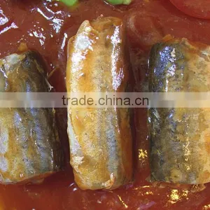 425g Canned Mackerel/Jack Mackerel in Tomato Sauce thumbnail-1