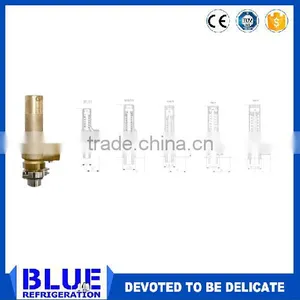 BLR/NGI Safety Valve thumbnail-1