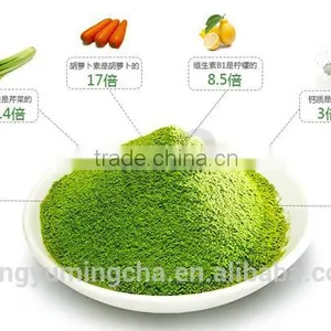 GMP Factory Supply Organic Green Tea Extract 95% for Dietary Supplements thumbnail-5