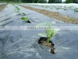 Black Mulch Plastic Mulch Film for Agriculture thumbnail-3