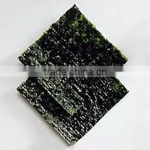 Sushi Nori thumbnail-1