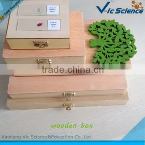 Different Glass Microscope Slides Storage Box thumbnail-1