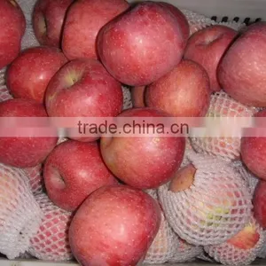Fresh Qinguan Apple thumbnail-1