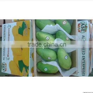 Fresh Mango (Processed / Washed) thumbnail-4