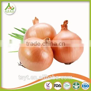 Fresh Yellow Small Onion in China thumbnail-4