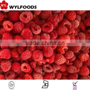 IQF Frozen Raspberry thumbnail-2