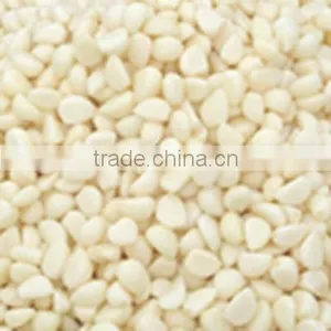 Salted Garlic in Brine thumbnail-1