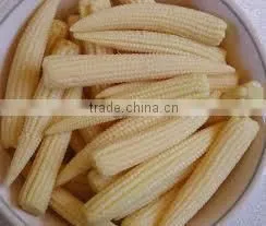 Best Selling Vietnam High Quality IQF Frozen Baby Corn thumbnail-1