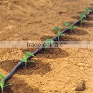 Water Saving Irrigate System Agricultural Dry Farm PE Drip Irriagtion Tubes thumbnail-6