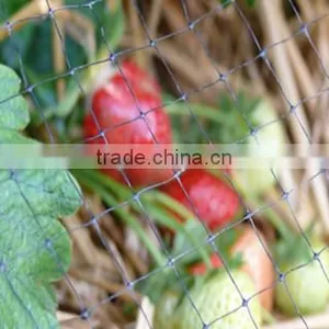 PEA AND BEAN NETTING thumbnail-1