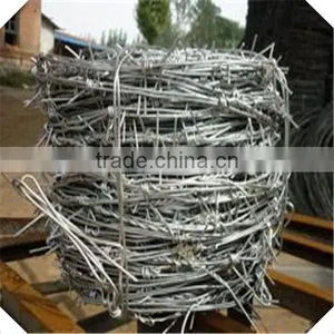 High Quality Cheap Galvanized Barbed Wire / 12mm Barbed Distance Barbed Wire thumbnail-1