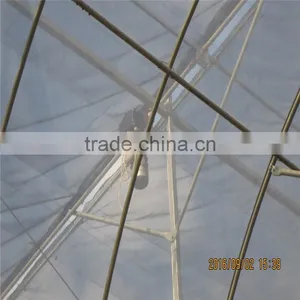 Modern Design Low Cost / Cheap Glass Green Houses for Agriculture thumbnail-3