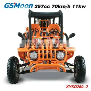 Powerfull 250cc go Kart With C.V.T System thumbnail-1
