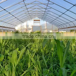 Low Cost Single-span Greenhouse Film Hoops thumbnail-6
