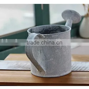 Top Seller Indoor Decorative Antique Garden Metal Watering Can for Home Deco thumbnail-5
