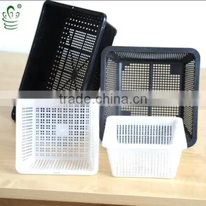 Plastic Gardening Seed Tray (size: 18.5x18.5x9cm) thumbnail-1