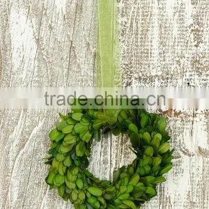 8'' Preserved Boxwood Wreath Wholesale thumbnail-3