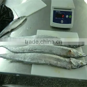 Sea Freezing Marinated Fish thumbnail-1