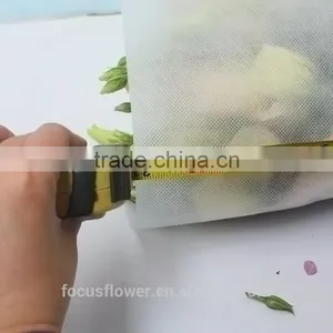 2017 High Quality Green Eustoma Factory Direct Flower For Sale thumbnail-5
