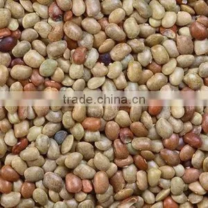 Kulthi Dry Extract thumbnail-4