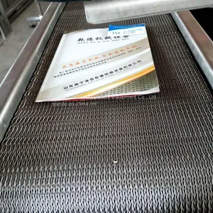 Conveyor Belt, Mesh Belt Conveyor, Shandong Manufacturer thumbnail-1
