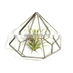 Terrarium Geometric Glass Terrarium Wholesale Diamond Model thumbnail-2