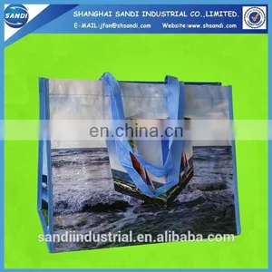 LOGO Printing Promotional Plastic pp Woven Shopping Bag thumbnail-1