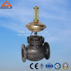 Self Operated Micro Pressure Regulating Valve (GAZZVP) thumbnail-1